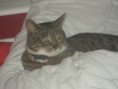 /album/mijn-huisdiertjes/img760640276-kopie-kopie-kopie-jpeg/